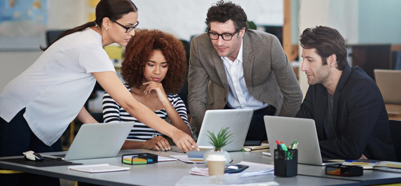 Brand strategy and rollout showcase